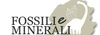 Logo fossilieminerali